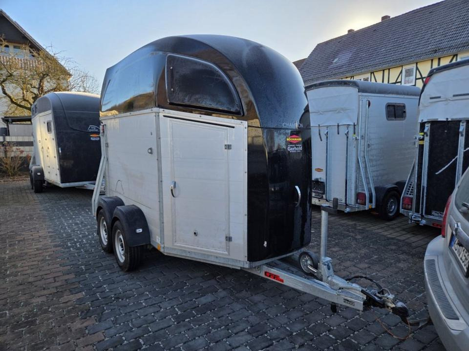 Böckmann, Pferdeanhänger, Champion R, top, SaKa. 100 km/h - Hestetrailer: billede 5 Böckmann, Pferdeanhänger, Champion R, top, SaKa. 100 km/h - Hestetrailer: billede 5