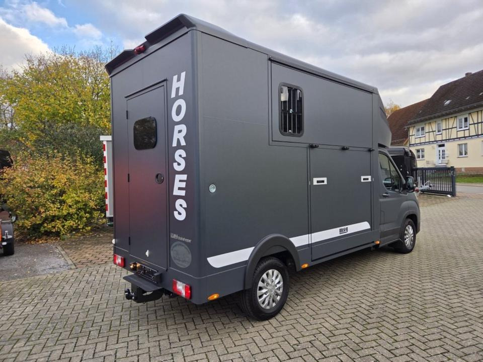 MSG Stablehopper Pferdetransporter Pferdeanhänger Böckmann - Hestetransporter: billede 3 MSG Stablehopper Pferdetransporter Pferdeanhänger Böckmann - Hestetransporter: billede 3