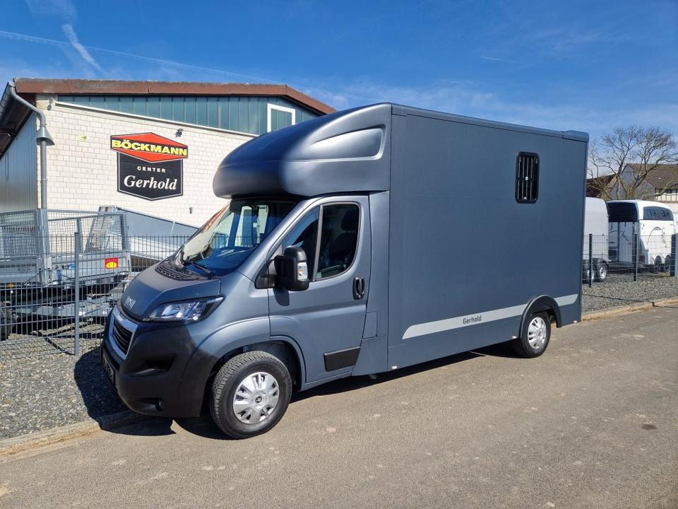 MSG Stablehopper Pferdetransporter Pferdeanhänger Böckmann - Hestetransporter: billede 2 MSG Stablehopper Pferdetransporter Pferdeanhänger Böckmann - Hestetransporter: billede 2