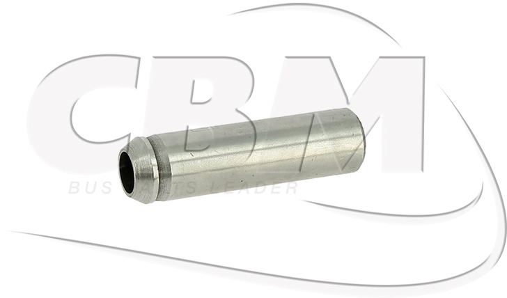 DIESEL TECHNIC VALVE GUIDE - IRISBUS - IVECO - RVI (5001824103) - Motor og reservedele for Bus: billede 1 DIESEL TECHNIC VALVE GUIDE - IRISBUS - IVECO - RVI (5001824103) - Motor og reservedele for Bus: billede 1