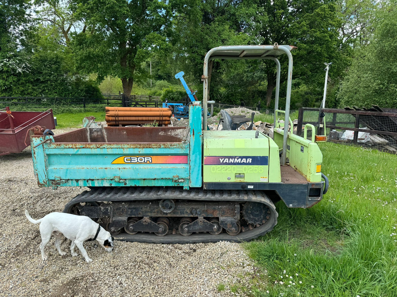 Yanmar C30R-2B - Bæltedumper: billede 1 Yanmar C30R-2B - Bæltedumper: billede 1