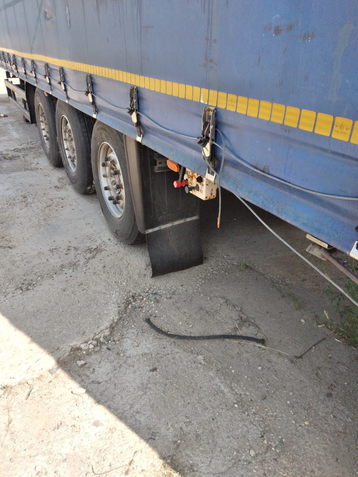 Semirimorchio centinato - Gardintrailer: billede 4 Semirimorchio centinato - Gardintrailer: billede 4