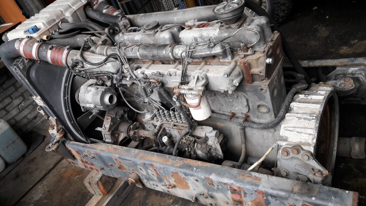 DAF WS268G DAF 95 85 - Motor for Lastbil: billede 3 DAF WS268G DAF 95 85 - Motor for Lastbil: billede 3