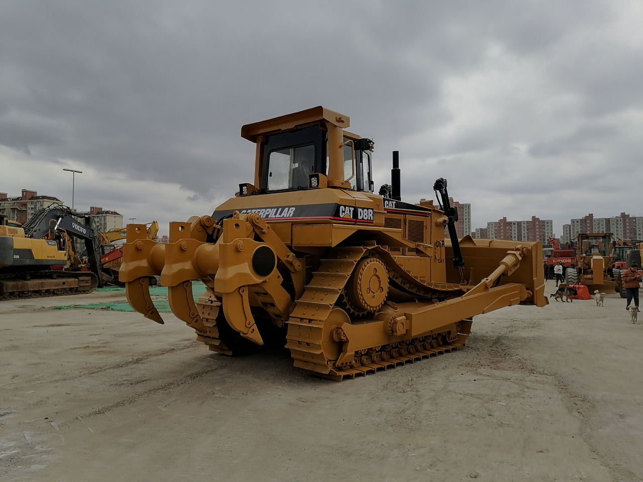 CATERPILLAR D8R Bulldozer Click for Discount - Bulldozer: billede 3 CATERPILLAR D8R Bulldozer Click for Discount - Bulldozer: billede 3