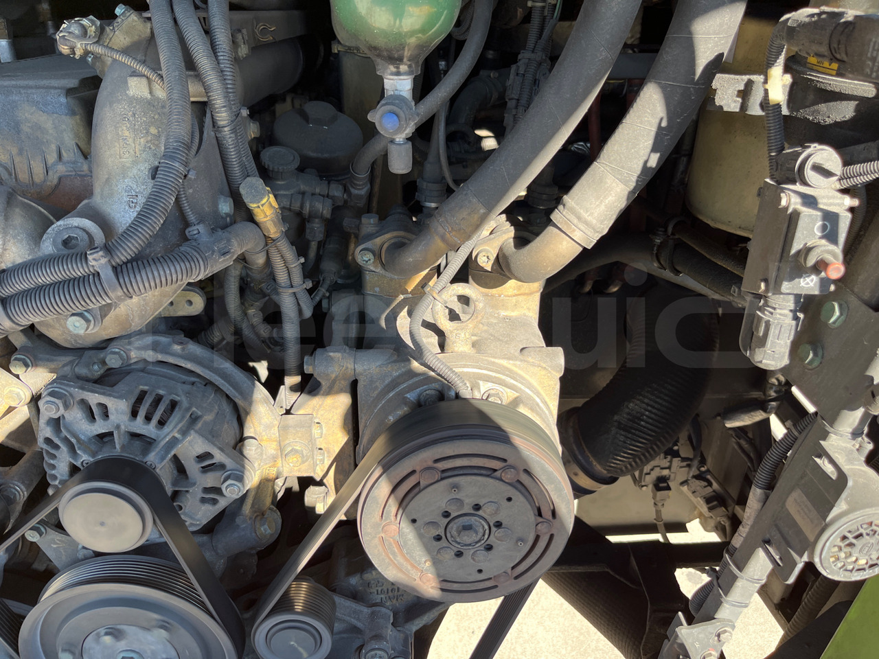 Leje en Man Lion's Coach Man Lion's Coach: billede 13 Leje en Man Lion's Coach Man Lion's Coach: billede 13