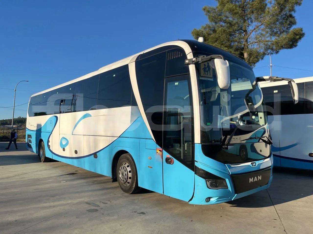 Man Lion's Coach - Turistbus: billede 1 Man Lion's Coach - Turistbus: billede 1