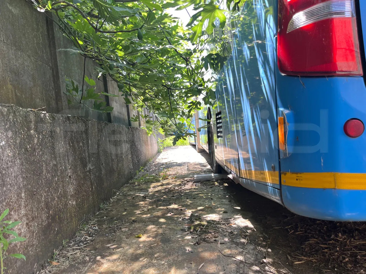 Mercedes-Benz Citaro G - Bybus: billede 4 Mercedes-Benz Citaro G - Bybus: billede 4