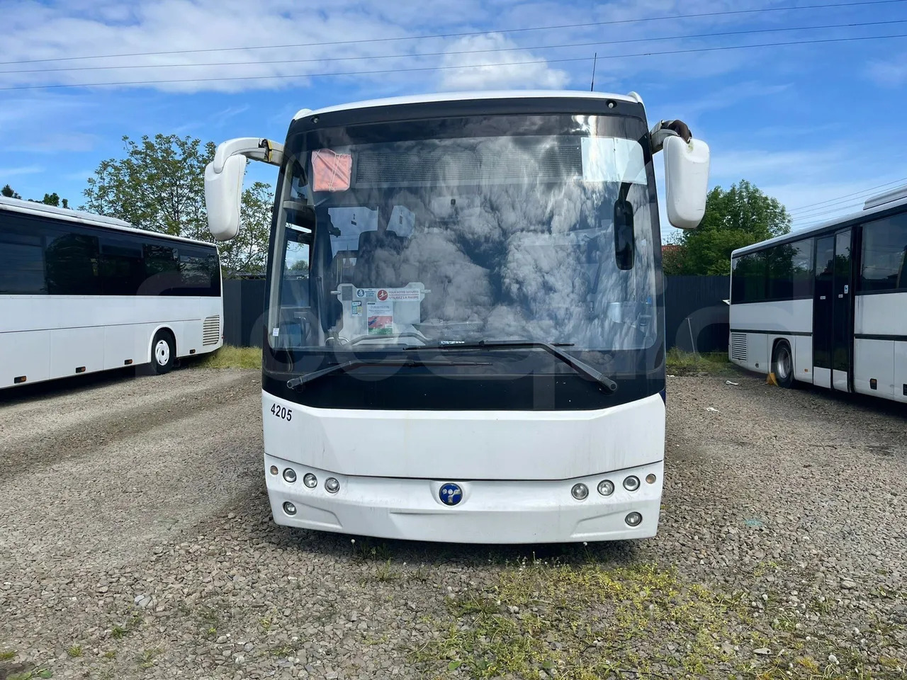 Temsa Safari - Forstæder bus: billede 1 Temsa Safari - Forstæder bus: billede 1