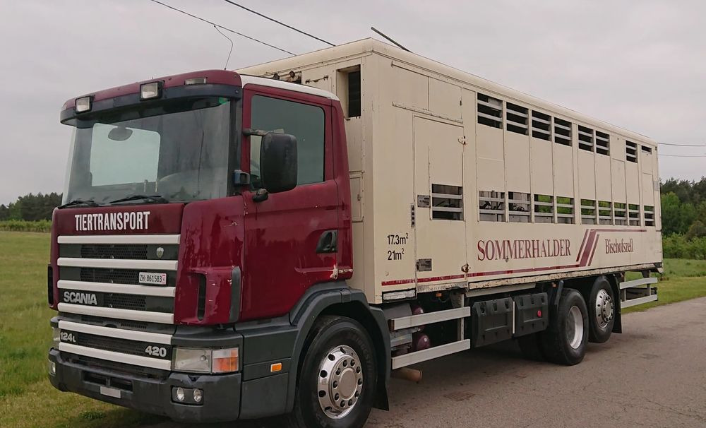 Scania 124 420 Do żywca - Veetransport lastbil: billede 1 Scania 124 420 Do żywca - Veetransport lastbil: billede 1