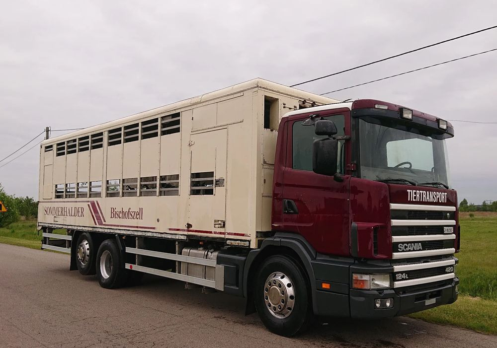 Scania 124 420 Do żywca - Veetransport lastbil: billede 2 Scania 124 420 Do żywca - Veetransport lastbil: billede 2