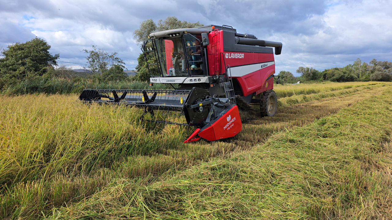 Modonex FE-600 - Skærebord til korn: billede 4 Modonex FE-600 - Skærebord til korn: billede 4