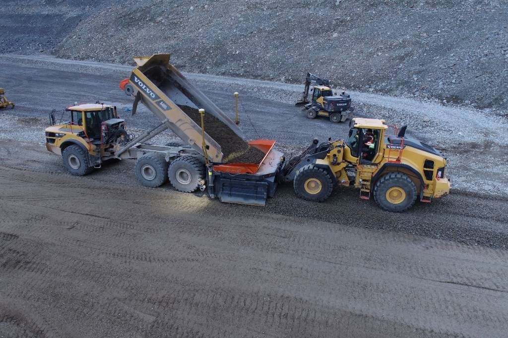 Reptail LM  - Grader: billede 2 Reptail LM  - Grader: billede 2