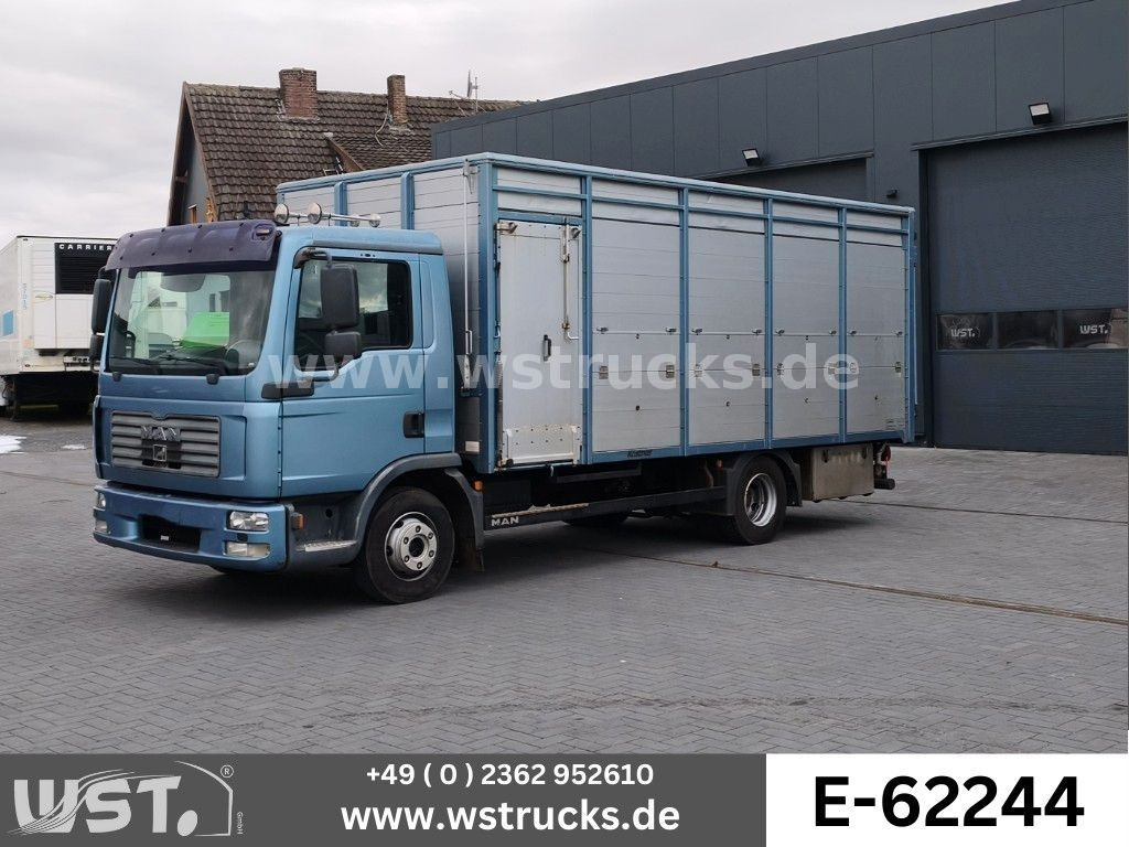 MAN TGL 10.210 1 Stock Viehtransporter - Hestetransporter: billede 1 MAN TGL 10.210 1 Stock Viehtransporter - Hestetransporter: billede 1