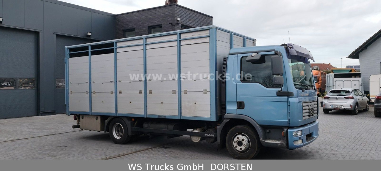 MAN TGL 10.210 1 Stock Viehtransporter - Hestetransporter: billede 4 MAN TGL 10.210 1 Stock Viehtransporter - Hestetransporter: billede 4