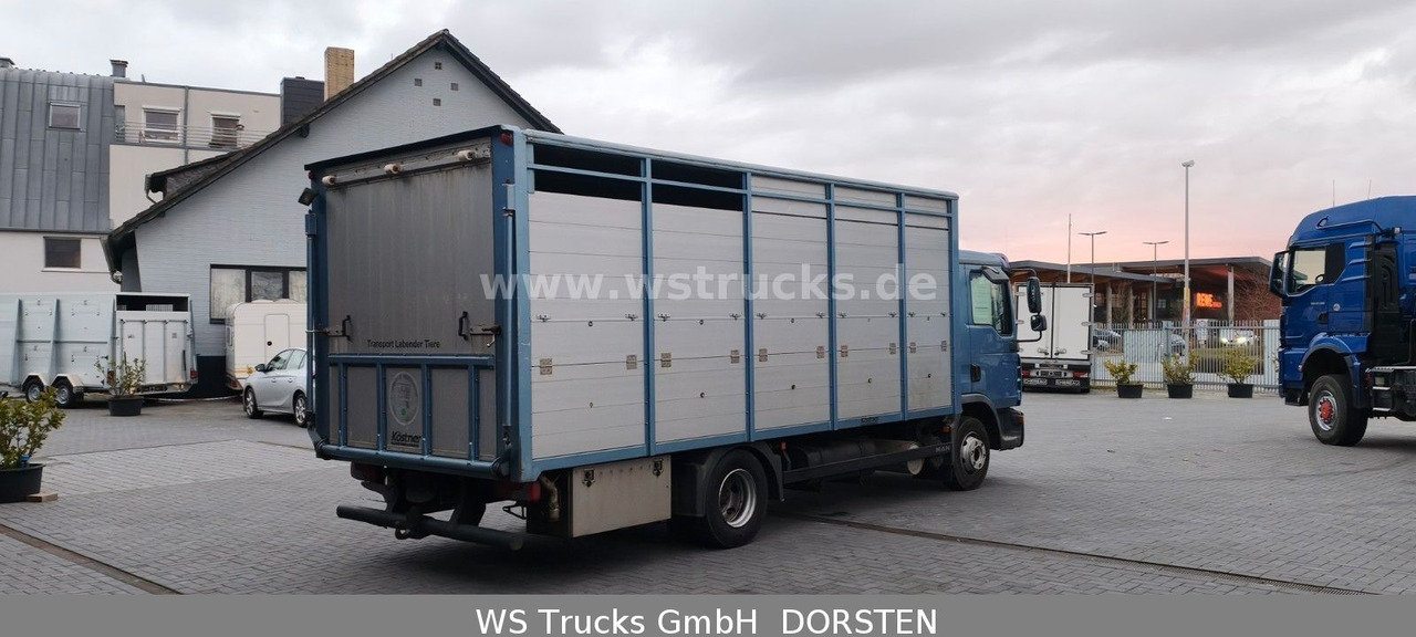 MAN TGL 10.210 1 Stock Viehtransporter - Hestetransporter: billede 5 MAN TGL 10.210 1 Stock Viehtransporter - Hestetransporter: billede 5