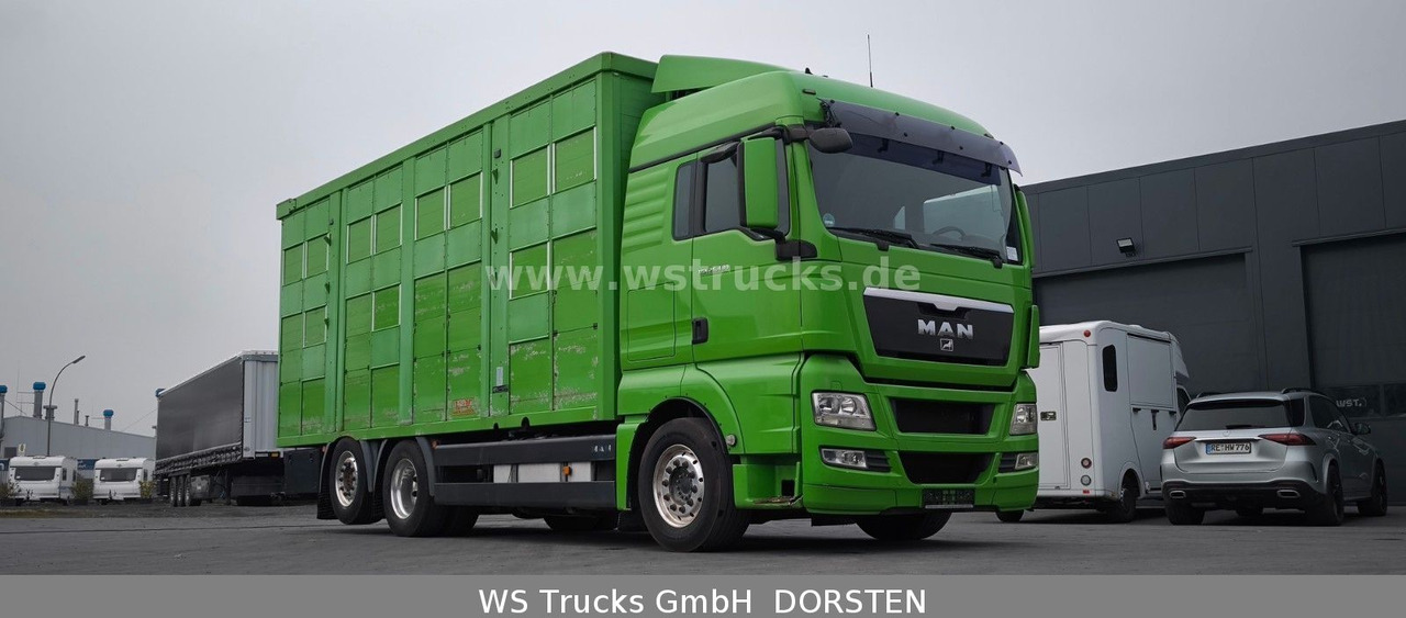 MAN TGX 26.480 XL KABA 3 Stock Viehtransporter - Hestetransporter: billede 4 MAN TGX 26.480 XL KABA 3 Stock Viehtransporter - Hestetransporter: billede 4