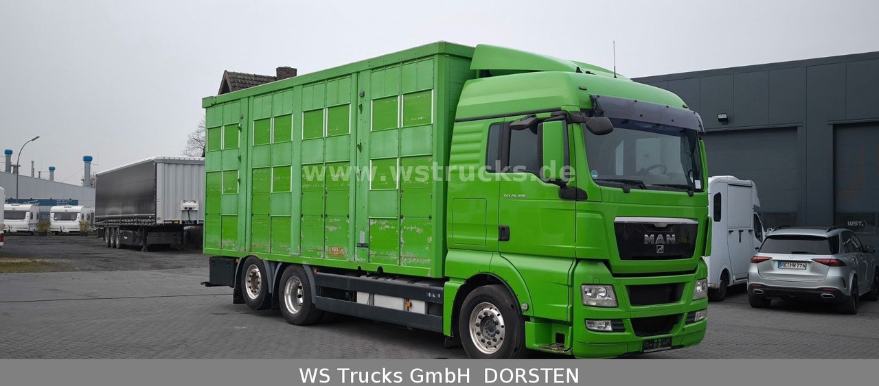 MAN TGX 26.480 XL KABA 3 Stock Viehtransporter - Hestetransporter: billede 3 MAN TGX 26.480 XL KABA 3 Stock Viehtransporter - Hestetransporter: billede 3