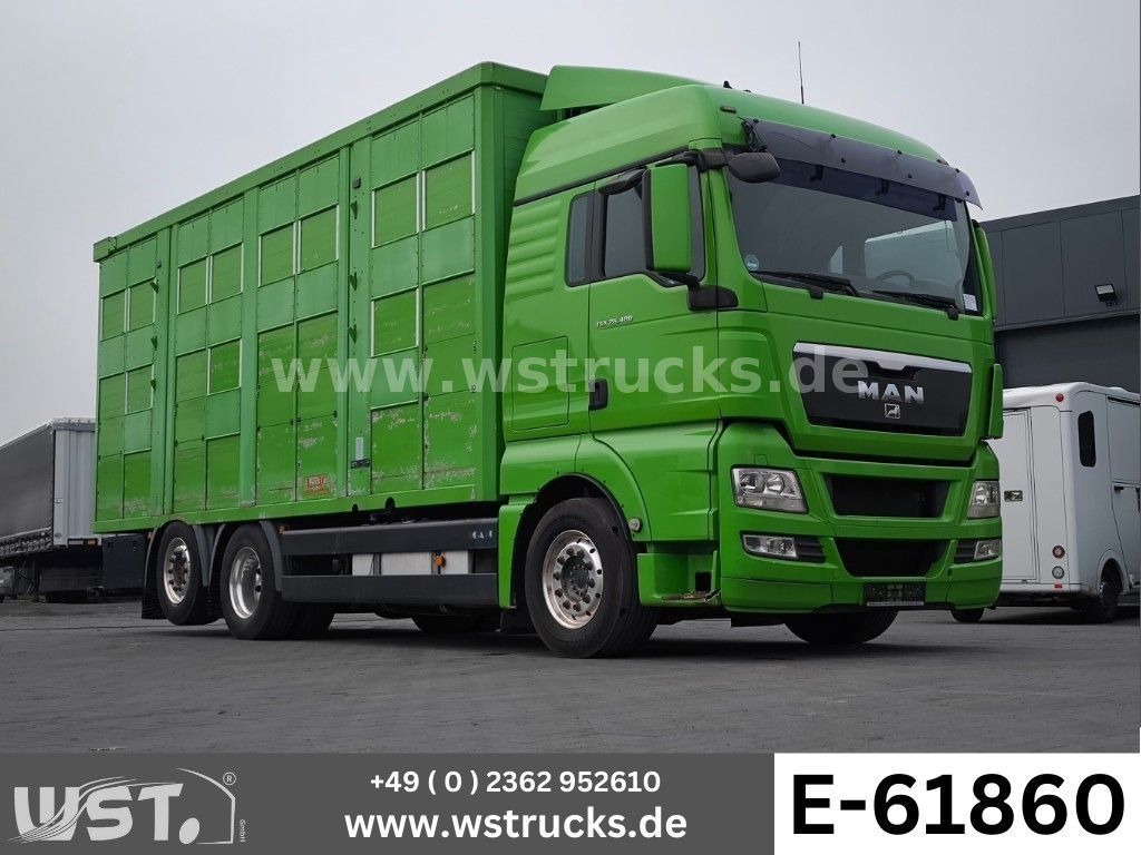 MAN TGX 26.480 XL KABA 3 Stock Viehtransporter - Hestetransporter: billede 1 MAN TGX 26.480 XL KABA 3 Stock Viehtransporter - Hestetransporter: billede 1