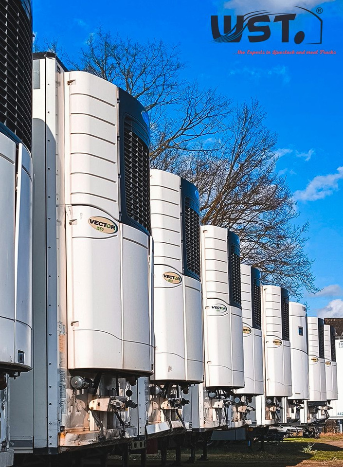 Schmitz Cargobull Kühlauflieger Blumenbreit Vector 1550 - Kølevogn sættevogn: billede 4 Schmitz Cargobull Kühlauflieger Blumenbreit Vector 1550 - Kølevogn sættevogn: billede 4