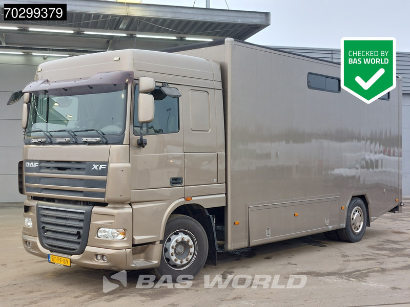 DAF XF105.410 XF 4X2 NL-Truck JK Horsetruck 6 Horses Pferdentransport Manual Euro 5 - Hestetransporter: billede 1 DAF XF105.410 XF 4X2 NL-Truck JK Horsetruck 6 Horses Pferdentransport Manual Euro 5 - Hestetransporter: billede 1