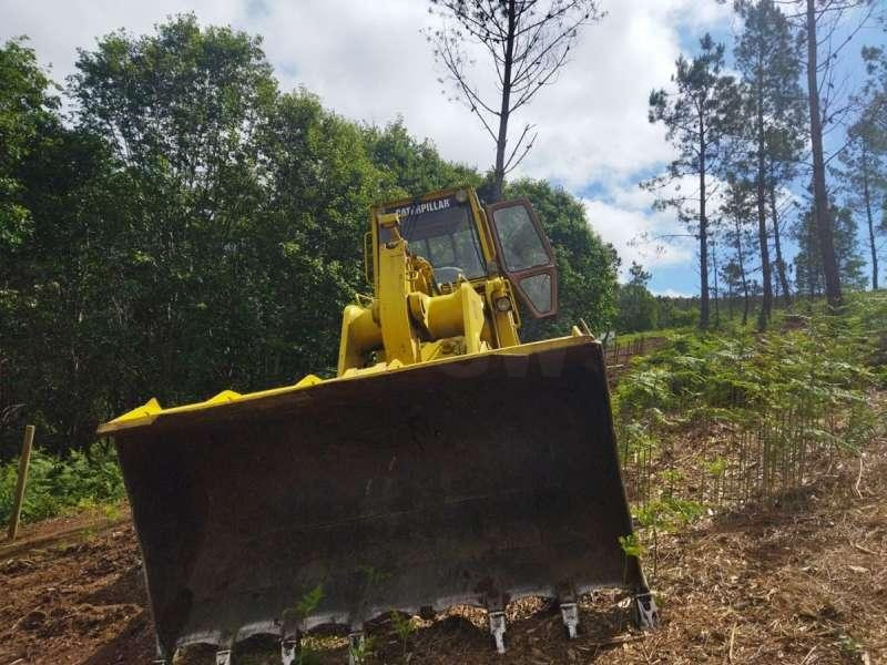 Caterpillar 963 - Larvebåndslæsser: billede 4 Caterpillar 963 - Larvebåndslæsser: billede 4