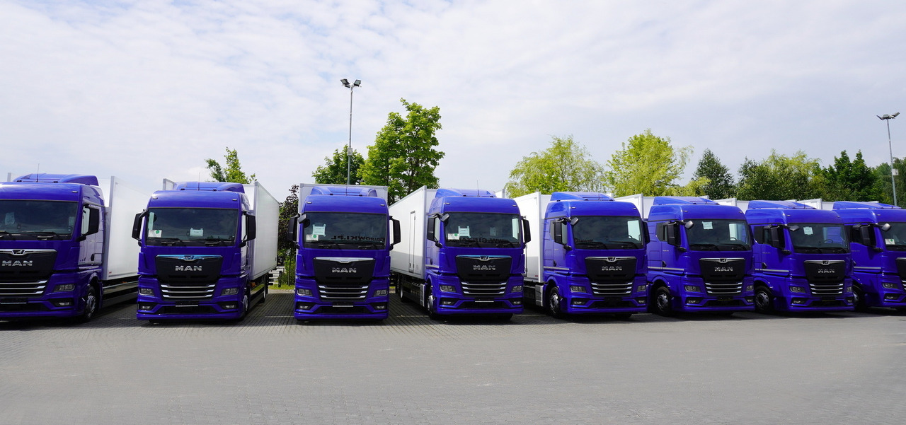 MAN New TGX 26.400 / NEW IGLOOCAR refrigerator 20 pallets / 6×2 / 2024 / 2 units - Isotermisk lastbil: billede 3 MAN New TGX 26.400 / NEW IGLOOCAR refrigerator 20 pallets / 6×2 / 2024 / 2 units - Isotermisk lastbil: billede 3