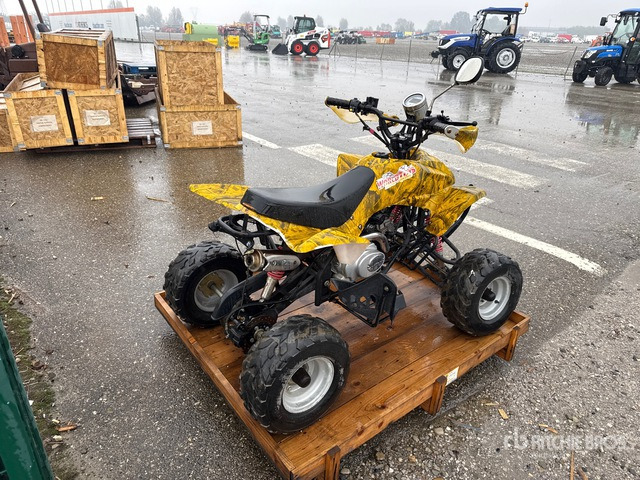 2008 Zheijang Lianmei LMATV110-F Quad :Misc. Recreational Vehicle - ATV/ Quad: billede 3 2008 Zheijang Lianmei LMATV110-F Quad :Misc. Recreational Vehicle - ATV/ Quad: billede 3