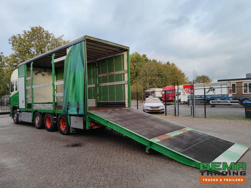 DAF FAK XF95.430 8x2 SuperSpaceCab Euro3 - CurtainSider 7.31m + Ramp 16T - MachineTransporter - 6 Persons  (V558) - Biltransportør lastbil: billede 2 DAF FAK XF95.430 8x2 SuperSpaceCab Euro3 - CurtainSider 7.31m + Ramp 16T - MachineTransporter - 6 Persons  (V558) - Biltransportør lastbil: billede 2