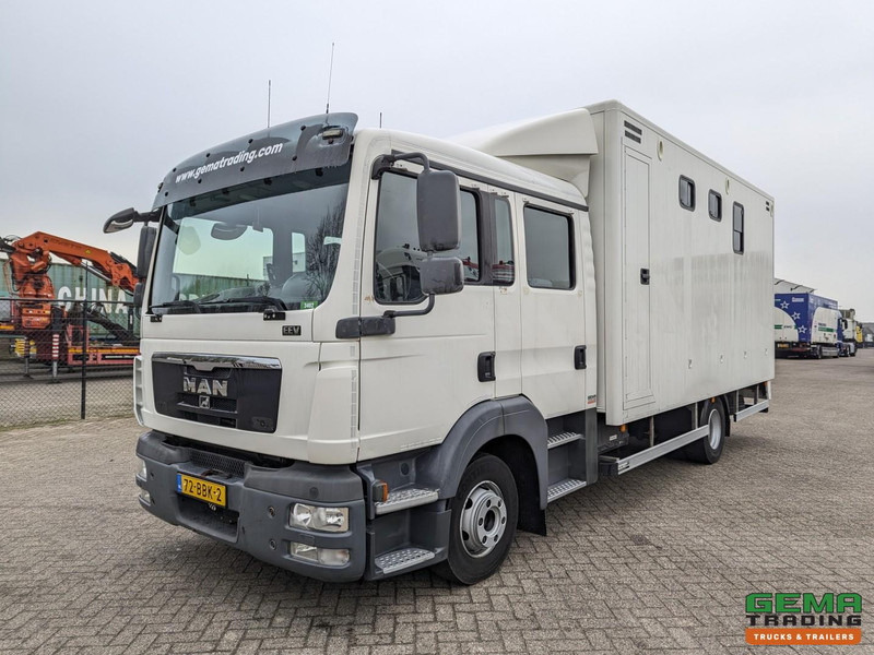 MAN TGL 12.180 4x2 DoKa 7 pers. Euro5 EEV - Paardenwagen 2-Paards - 147.000km! - MARGE - Hestetransporter: billede 3 MAN TGL 12.180 4x2 DoKa 7 pers. Euro5 EEV - Paardenwagen 2-Paards - 147.000km! - MARGE - Hestetransporter: billede 3