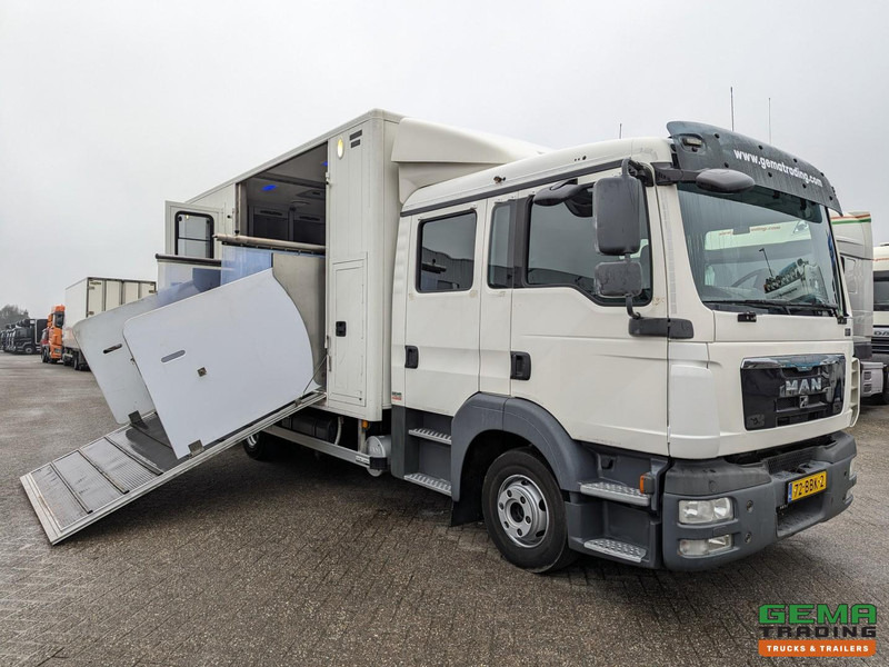 MAN TGL 12.180 4x2 DoKa 7 pers. Euro5 EEV - Paardenwagen 2-Paards - 147.000km! - MARGE - Hestetransporter: billede 1 MAN TGL 12.180 4x2 DoKa 7 pers. Euro5 EEV - Paardenwagen 2-Paards - 147.000km! - MARGE - Hestetransporter: billede 1
