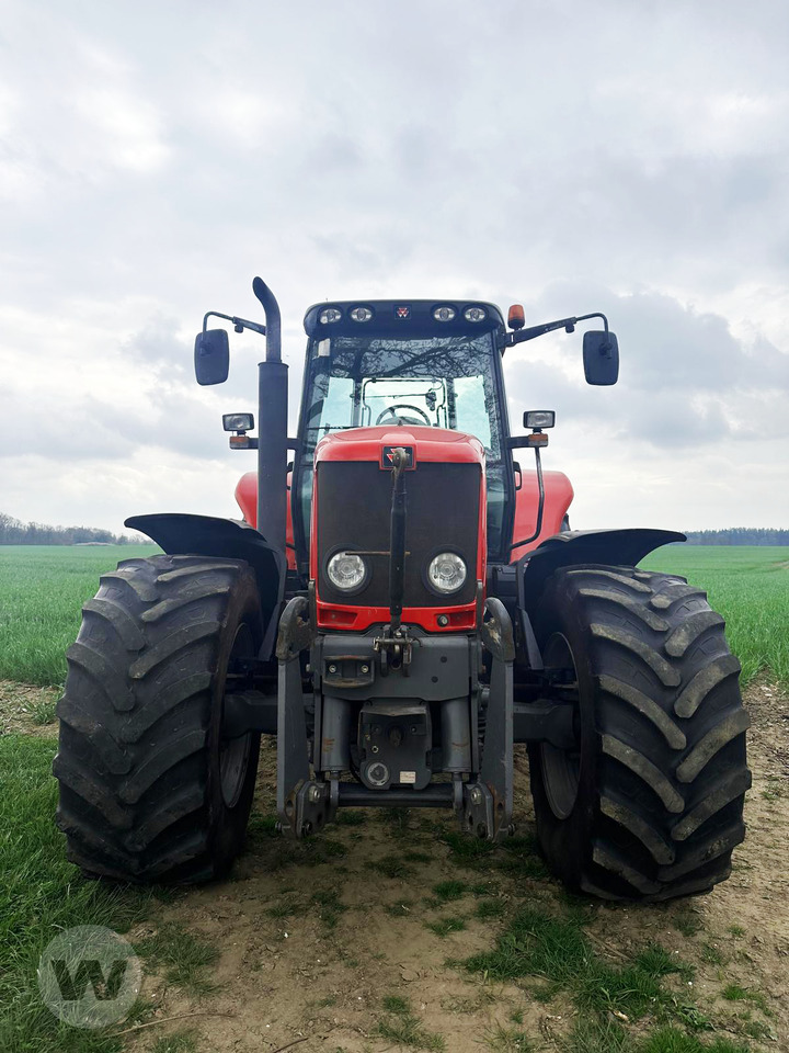 Massey Ferguson 7480 - Traktor: billede 1 Massey Ferguson 7480 - Traktor: billede 1