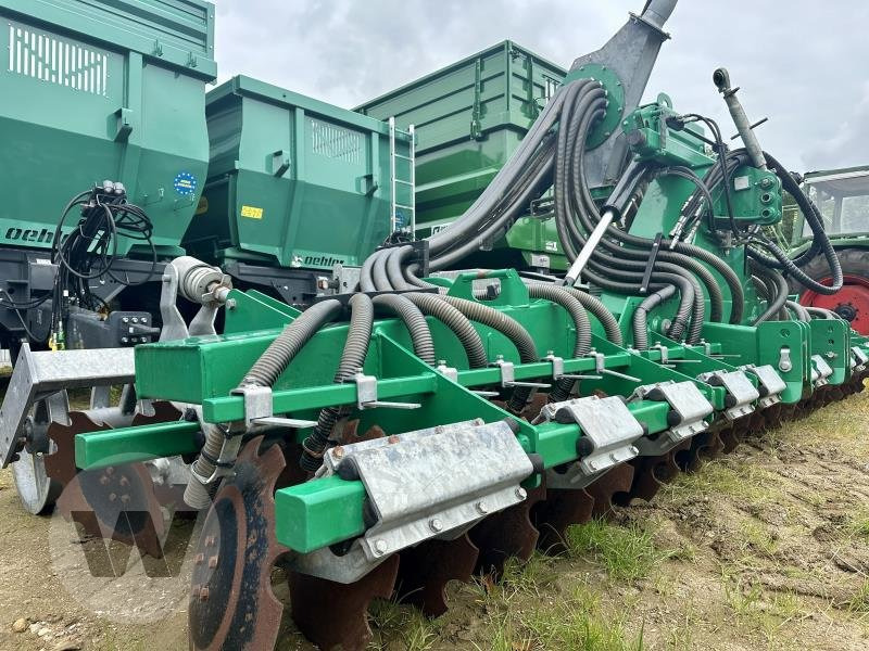 Samson GÜLLESCHEIBENEGGE - Gyllenedfælder: billede 2 Samson GÜLLESCHEIBENEGGE - Gyllenedfælder: billede 2