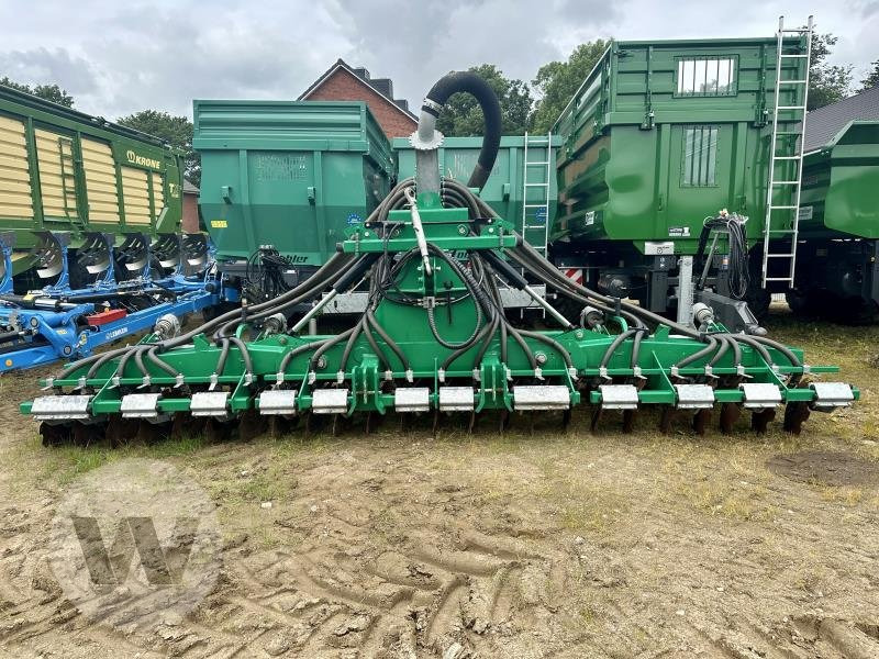 Samson GÜLLESCHEIBENEGGE - Gyllenedfælder: billede 1 Samson GÜLLESCHEIBENEGGE - Gyllenedfælder: billede 1