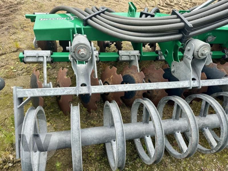 Samson GÜLLESCHEIBENEGGE - Gyllenedfælder: billede 4 Samson GÜLLESCHEIBENEGGE - Gyllenedfælder: billede 4