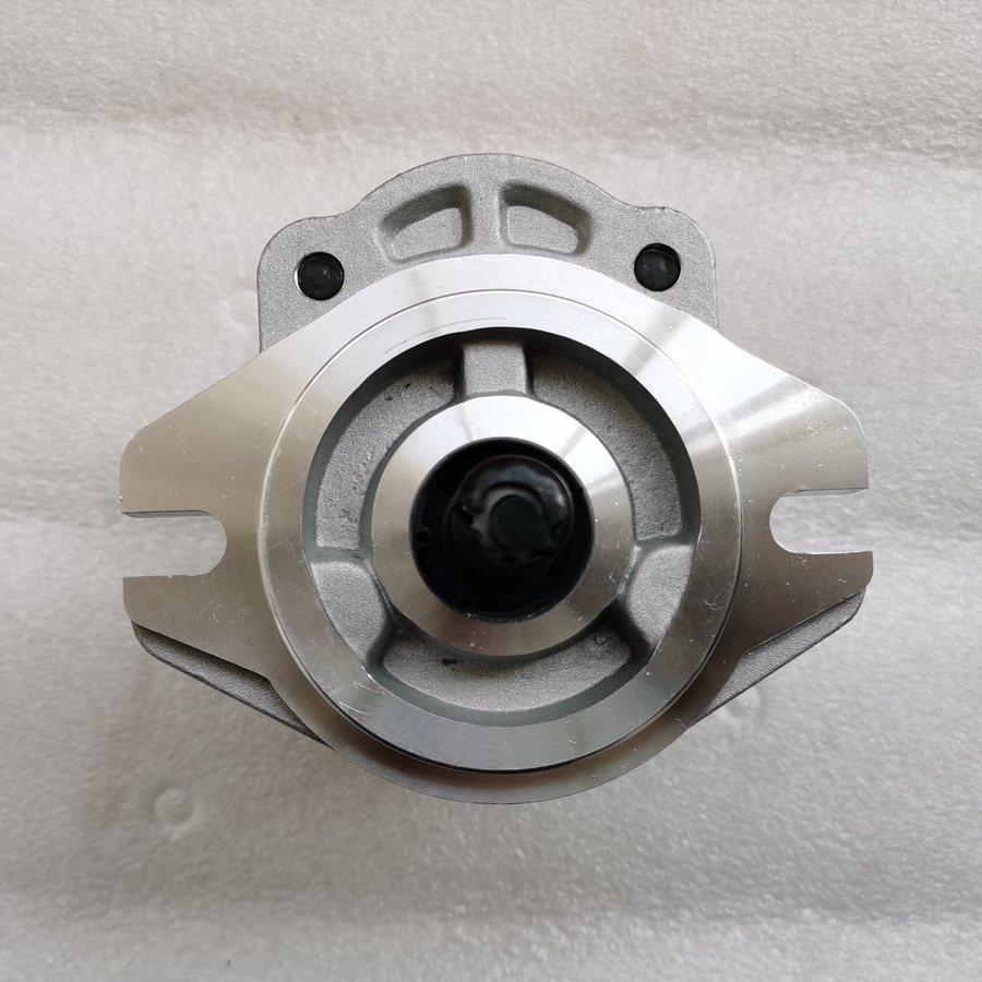 QINGDAO PROMISING Hydraulic Pump CBWA-F314-AL5Φ9 - Hydraulikpumpe for Gummihjulslæsser: billede 3 QINGDAO PROMISING Hydraulic Pump CBWA-F314-AL5Φ9 - Hydraulikpumpe for Gummihjulslæsser: billede 3