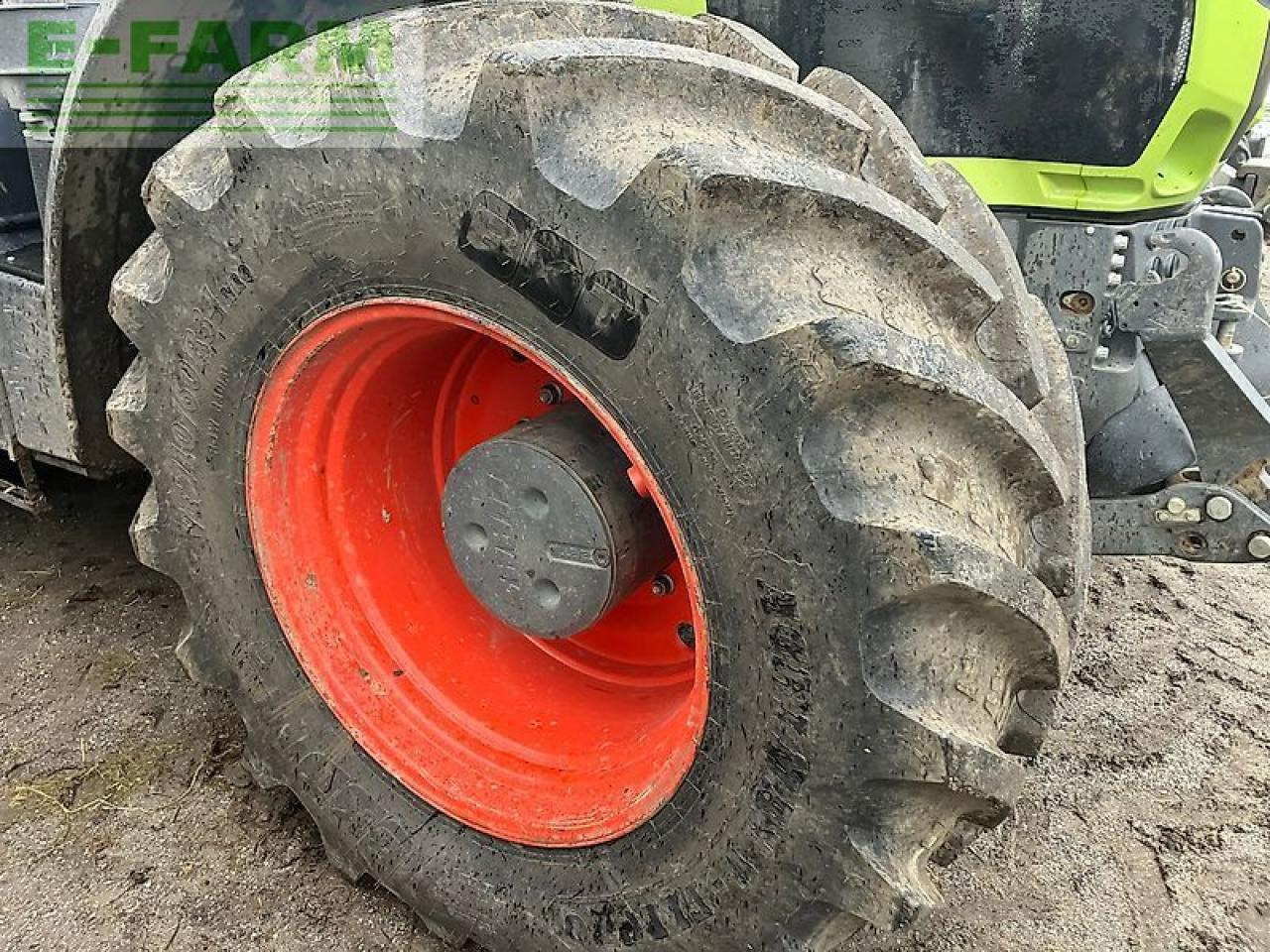 CLAAS axion 920 - Traktor: billede 5 CLAAS axion 920 - Traktor: billede 5