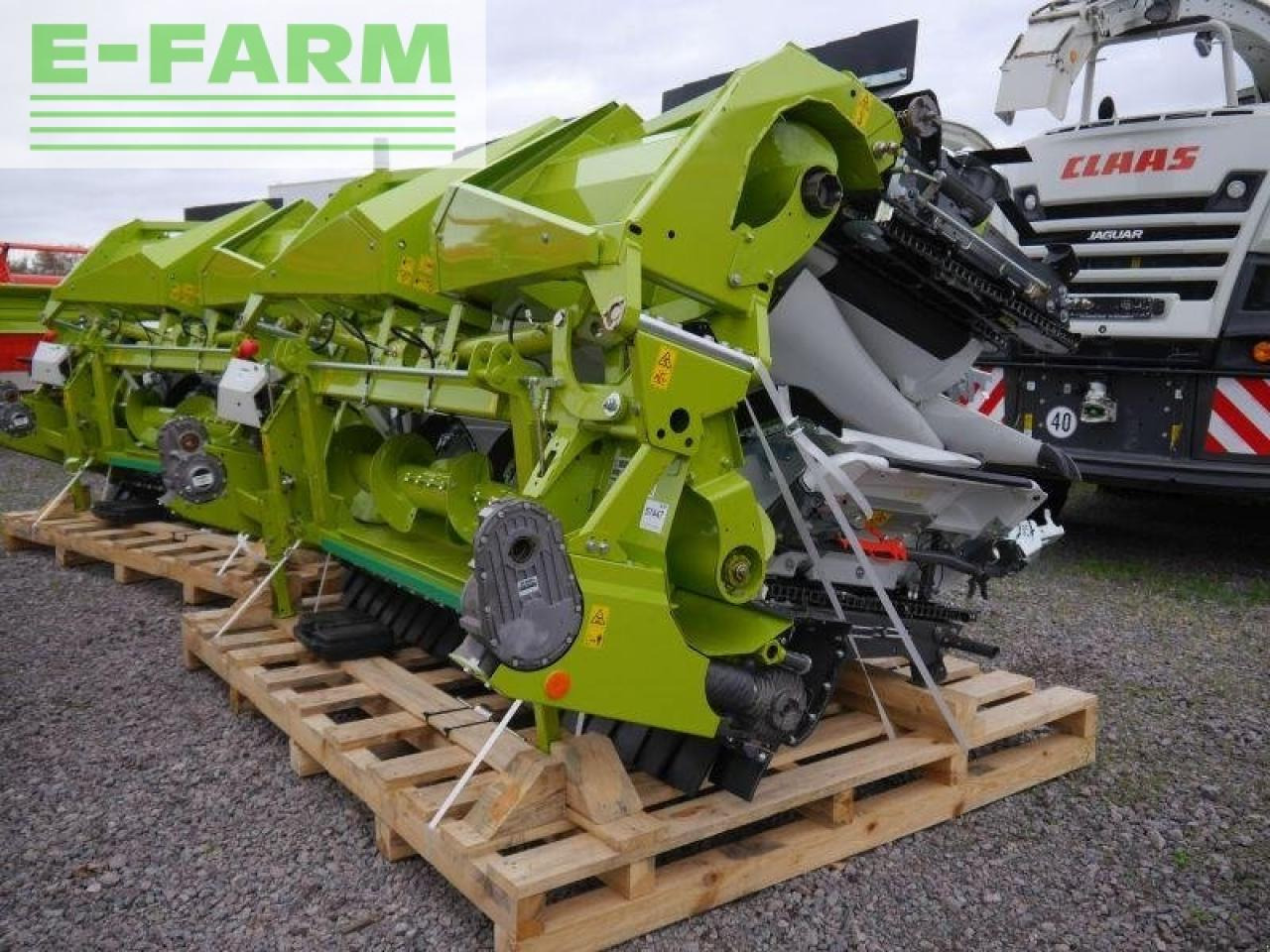 CLAAS corio 870 fc conspeed - Majsskærebord: billede 2 CLAAS corio 870 fc conspeed - Majsskærebord: billede 2