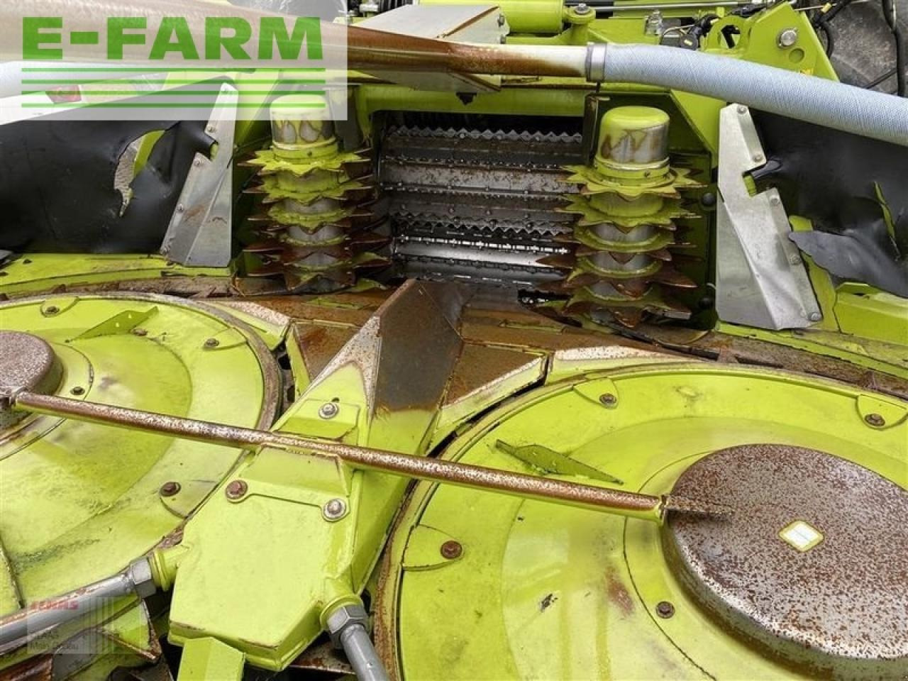 CLAAS orbis 600 sd 3t - Tilbehør til grønthøster: billede 5 CLAAS orbis 600 sd 3t - Tilbehør til grønthøster: billede 5