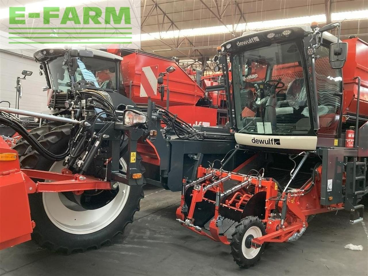 Dewulf rqa3060 - topkæde - Kartoffeloptager: billede 2 Dewulf rqa3060 - topkæde - Kartoffeloptager: billede 2