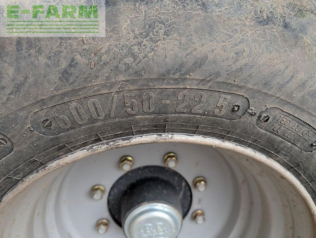 Kartoffeloptager Grimme se 75 - 55: billede 16