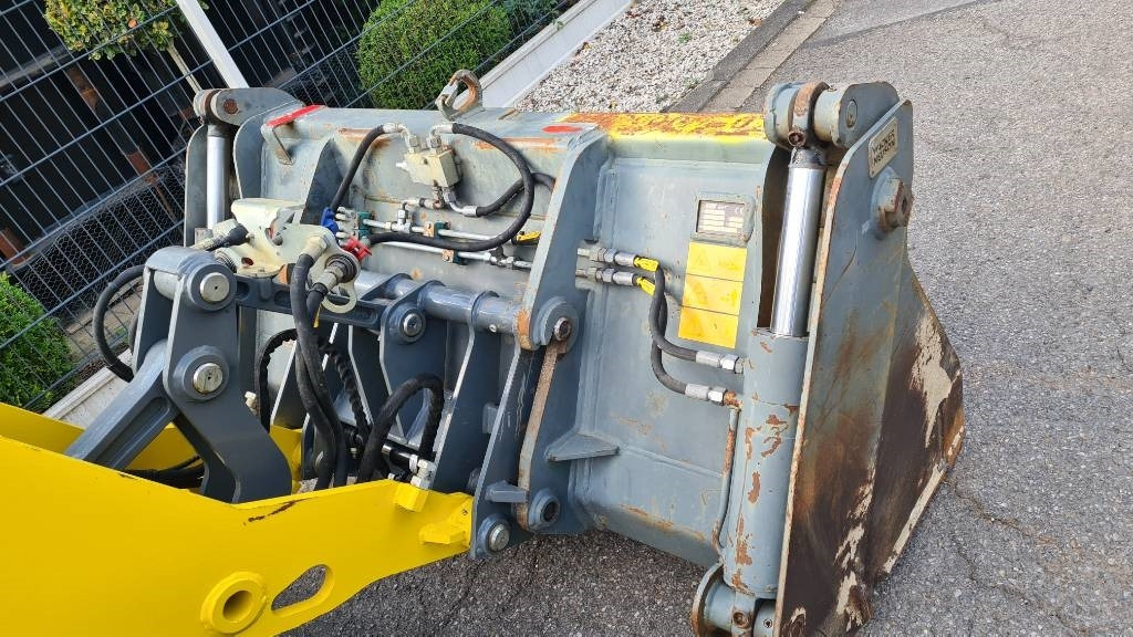Gummihjulslæsser Wacker Neuson WL 38, 3. Steuerkreis Zusatzhydraulik, Radlader: billede 10 Gummihjulslæsser Wacker Neuson WL 38, 3. Steuerkreis Zusatzhydraulik, Radlader: billede 10