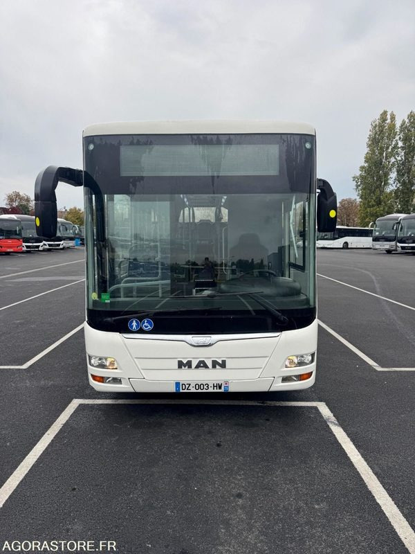 BUS URBAIN MAN / 2016 / 253 000 KM - Bybus: billede 2 BUS URBAIN MAN / 2016 / 253 000 KM - Bybus: billede 2