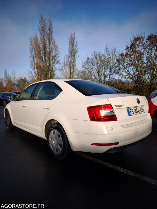 EV-644-CD - Non Roulant - SKODA OCTAVIA - VP - 339 260 Kms - Bil: billede 5 EV-644-CD - Non Roulant - SKODA OCTAVIA - VP - 339 260 Kms - Bil: billede 5