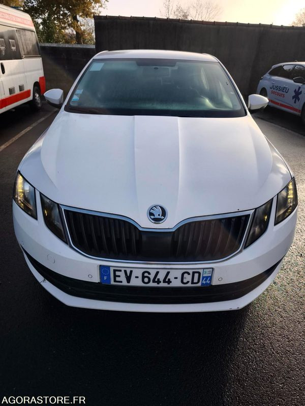 EV-644-CD - Non Roulant - SKODA OCTAVIA - VP - 339 260 Kms - Bil: billede 3 EV-644-CD - Non Roulant - SKODA OCTAVIA - VP - 339 260 Kms - Bil: billede 3