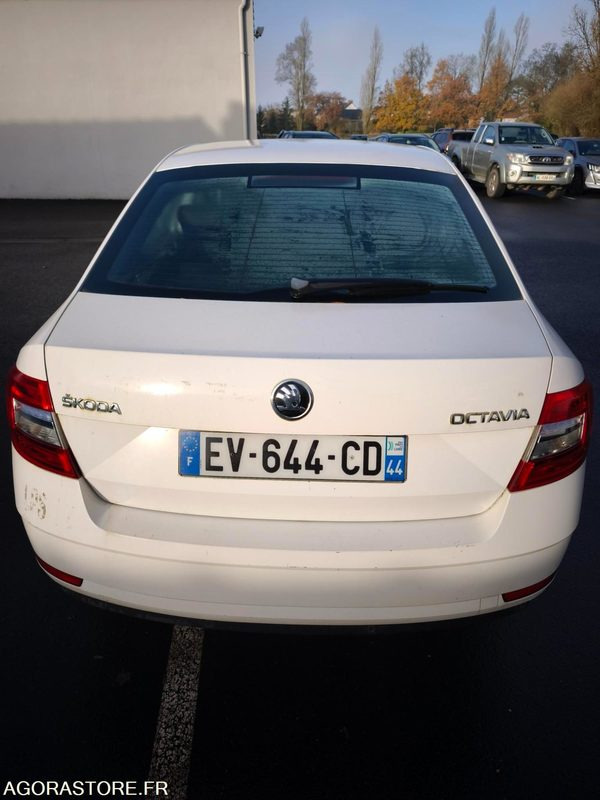 EV-644-CD - Non Roulant - SKODA OCTAVIA - VP - 339 260 Kms - Bil: billede 4 EV-644-CD - Non Roulant - SKODA OCTAVIA - VP - 339 260 Kms - Bil: billede 4