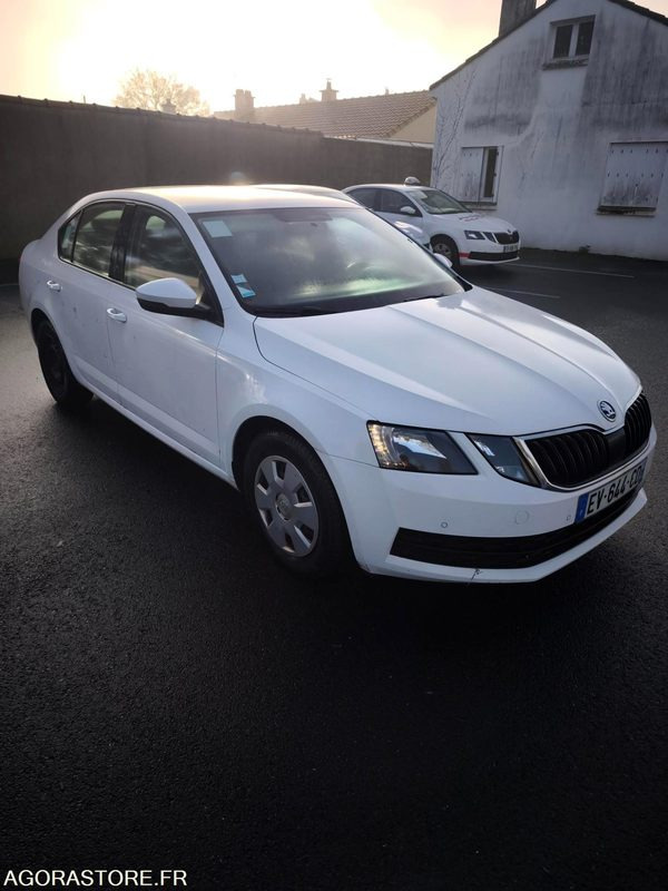 EV-644-CD - Non Roulant - SKODA OCTAVIA - VP - 339 260 Kms - Bil: billede 1 EV-644-CD - Non Roulant - SKODA OCTAVIA - VP - 339 260 Kms - Bil: billede 1