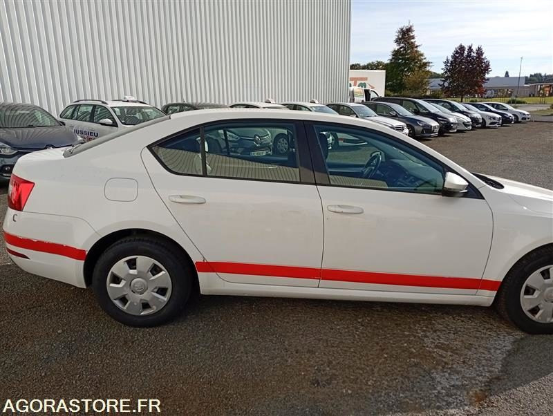 EX-233-PW - Non Roulant - SKODA OCTAVIA - VP - 427 764 Kms - Bil: billede 2 EX-233-PW - Non Roulant - SKODA OCTAVIA - VP - 427 764 Kms - Bil: billede 2