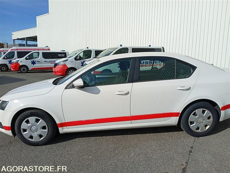 EX-233-PW - Non Roulant - SKODA OCTAVIA - VP - 427 764 Kms - Bil: billede 1 EX-233-PW - Non Roulant - SKODA OCTAVIA - VP - 427 764 Kms - Bil: billede 1