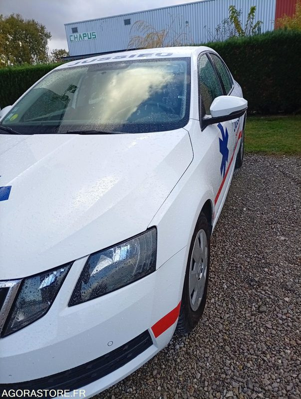 EX-669-TE - Roulant - SKODA OCTAVIA - VP - 391 640 Kms - Bil: billede 3 EX-669-TE - Roulant - SKODA OCTAVIA - VP - 391 640 Kms - Bil: billede 3