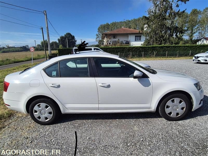 FJ-454-NP - Roulant - SKODA OCTAVIA - VP - 356 670 Kms - Bil: billede 1 FJ-454-NP - Roulant - SKODA OCTAVIA - VP - 356 670 Kms - Bil: billede 1